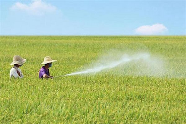 为什么要喷施叶面肥？有哪些优势？