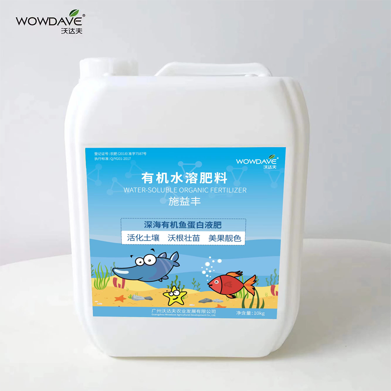 施益丰